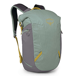 트랜스포터 롤탑팩 22L (Pine Leaf)